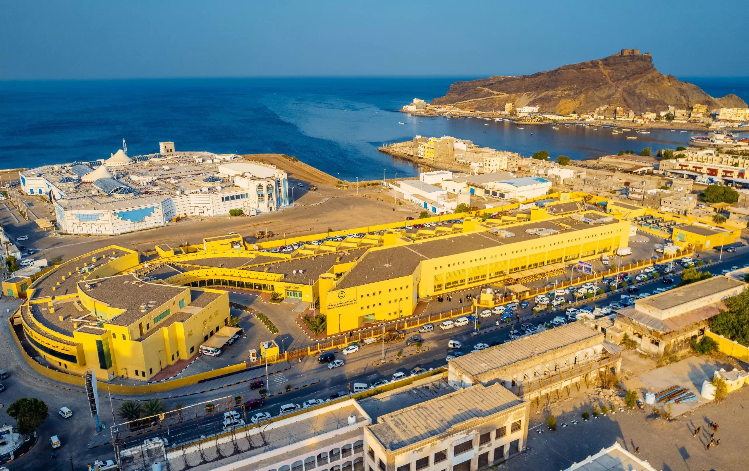 The Rise of Gourmet Street Food: Trends and Top Picks